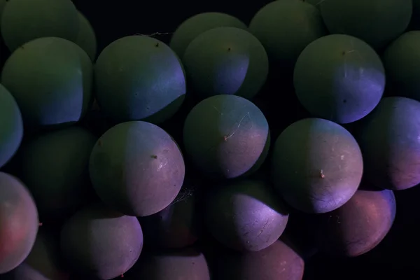 将美丽的新鲜绿色葡萄捆在黑色的背景上 宏观观点 — 图库照片