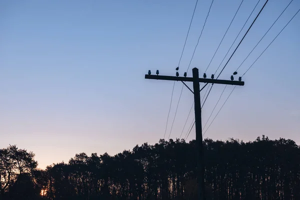 Nascer Sol Colorido Sobre Com Árvores Poste Elétrico — Fotografia de Stock