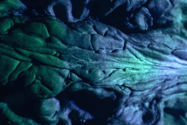 Yakın plan güzel ceviz kabuğu mor ışıkta aşırı. Tasarım için arka plan dokusu. Makro Fotoğraf Görünümü.