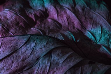 Güzel soyut yaprak dokusunu çok renkli neon ışıkla kapat. Minimalizm retro tarzı konsept. Tasarım için arkaplan modeli. Makro fotoğrafçılık görünümü.