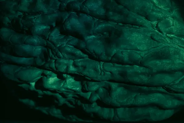 Крупный План Красивый Ореховый Скорлупа Крайности Зеленом Свете Фон Текстуры — стоковое фото