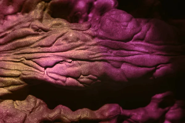 Close Walnut Shell Extreme Pink Light Background Texture Design Macro — Stock Photo, Image
