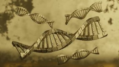 Altın zemin, tıbbi, bilim, genetik biyoteknoloji, gen hücre konsepti üzerine dört Altın DNA molekülü karmaşık sarmal yapı. 3D tasvir. Döndürme 360 derece. Döngü videosu.