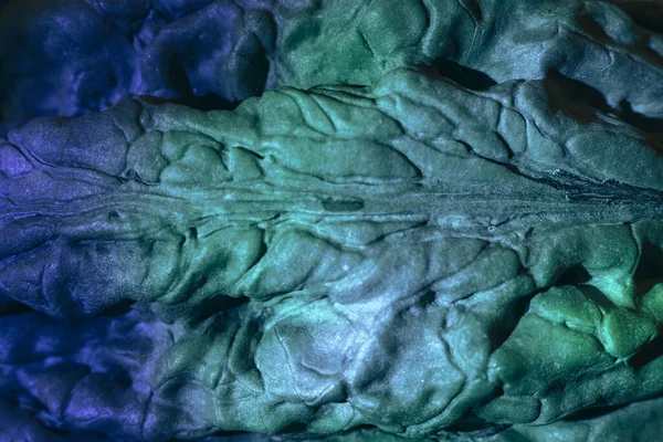 Крупный План Красивый Орех Оболочки Экстремальный Многоцветном Свете Фон Текстуры — стоковое фото