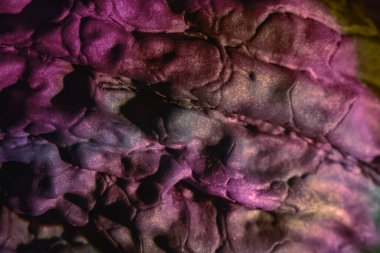 Çok renkli ışıkta çok güzel ceviz kabuğu. Tasarım için arka plan dokusu. Makro Fotoğraf Görünümü.