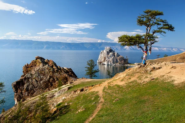 Baikal boom — Stockfoto