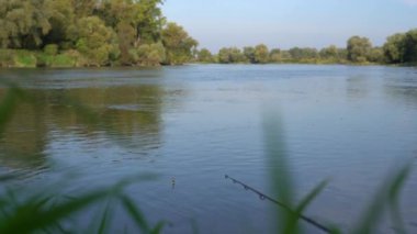 Aşırı büyümüş göl manzarası ve şamandıralı bir olta. Erkek hobisi, balıkçılık konsepti
