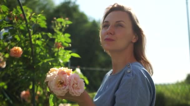 一个女孩的肖像在一个黄玫瑰的乡村花园。女人切茶，闻茶玫瑰 — 图库视频影像