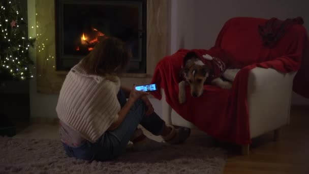 Visão traseira de uma mulher sentada em um tapete perto de uma lareira e uma árvore de Natal e olhando para a tela do telefone. Seu cão está sentado em uma cadeira aconchegante ao lado de — Vídeo de Stock