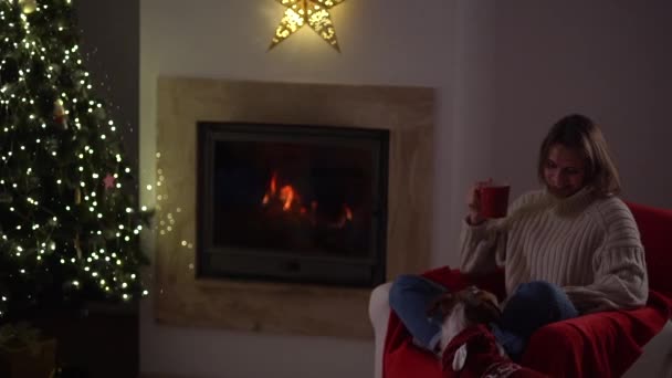 Gelukkige jonge vrouw die thee drinkt zittend in een stoel bij de open haard met haar hond in een kamer ingericht voor Kerstmis. Het meisje en haar huisdier vieren het nieuwe jaar — Stockvideo