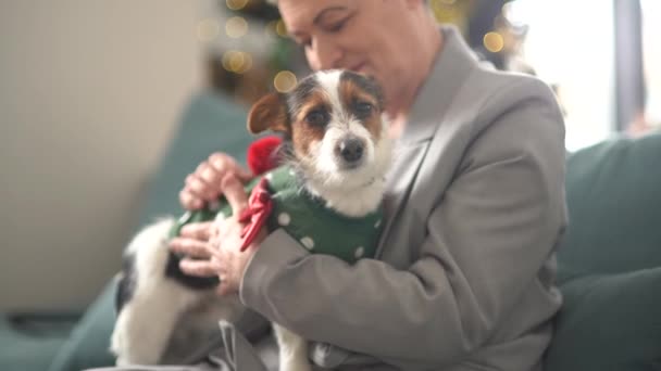 Munter senior dame nyder tid med sit kæledyr. En gråhåret pensionist med en kort frisure fejrer jul med sin hund sidder på sofaen på baggrund af juletræet. – Stock-video