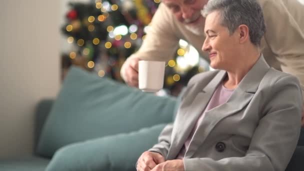 Um lindo casal de velhos. Um homem carinhoso traz à esposa uma caneca de chá enquanto ela se senta no sofá em frente à árvore de Natal. Conceito de casal feliz — Vídeo de Stock