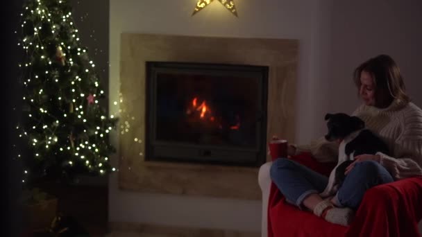 A mulher jovem senta-se em uma poltrona acolhedora e bebe chá de uma caneca à noite em casa perto de uma lareira ardente e uma árvore de Natal com um cão. Noite de Natal em uma casa acolhedora — Vídeo de Stock