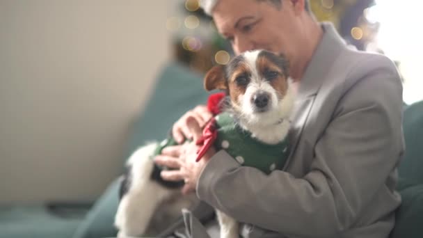 Ein süßes Haustier, ein kleiner Hund im lustigen Weihnachtskostüm, sitzt auf dem Schoß seiner Besitzer. Weihnachtskonzept — Stockvideo