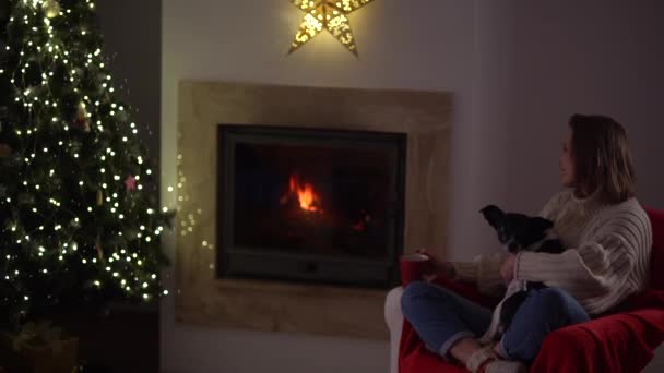 La padrona di casa con il suo animale domestico, un cane la sera siedono su una poltrona vicino al camino e l'albero di Natale la vigilia di Natale. Camera scura con luci decorate per Natale — Video Stock