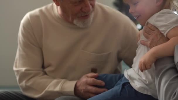 Los abuelos felices, el abuelo de pelo gris y la abuela, abrazan a su querido nieto de cuatro años mientras están sentados en el sofá en casa. vacaciones familiares — Vídeos de Stock