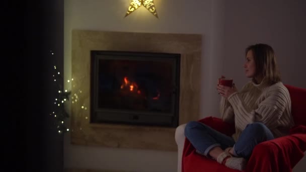 Menina e seu animal de estimação celebrar o ano novo. Jovem feliz bebendo chá sentado em uma cadeira perto da lareira com seu cão em uma sala decorada para o Natal — Vídeo de Stock
