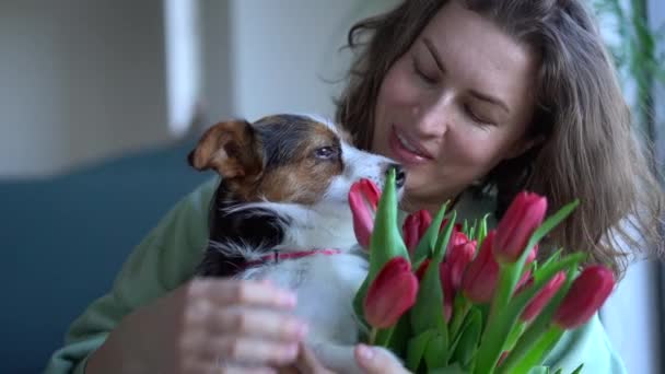 Retrato de una hermosa mujer adulta rizada con un ramo de tulipanes rojos abrazando a su perro mascota. concepto de cumpleaños niña o madre día — Vídeo de stock