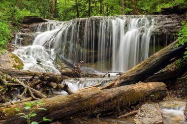 dokumacılar creek owen ses, ontario, Kanada ile düştü