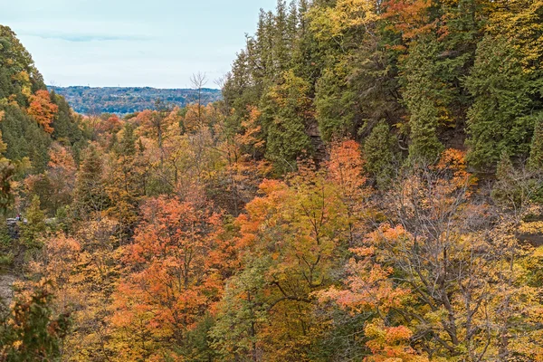 秋のグレン エデン保全地域ミルトン、オンタリオ — ストック写真