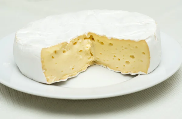 Queso en un plato — Foto de Stock