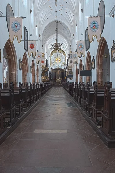 Cathedral in Gdansk Oliwa Poland — Stock Photo, Image