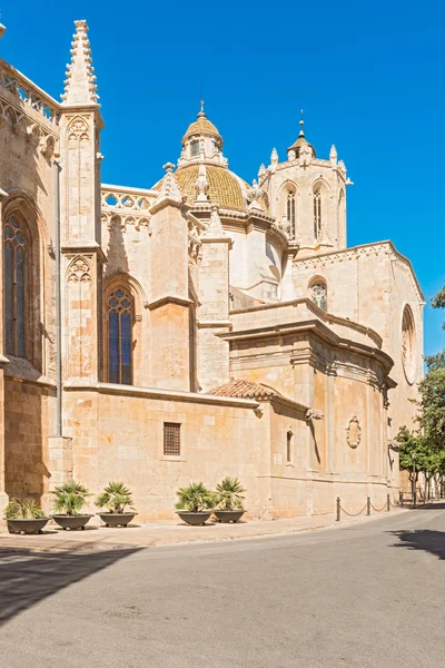 Catedral de estragona — Fotografia de Stock