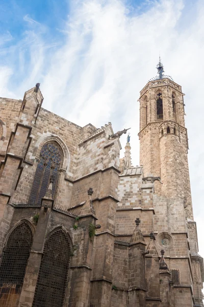 Barcelone : cathédrale gothique de santa eulalia à barri gotic巴塞罗那： santa eulalia 在巴里 gotic 的哥特式大教堂 — 图库照片