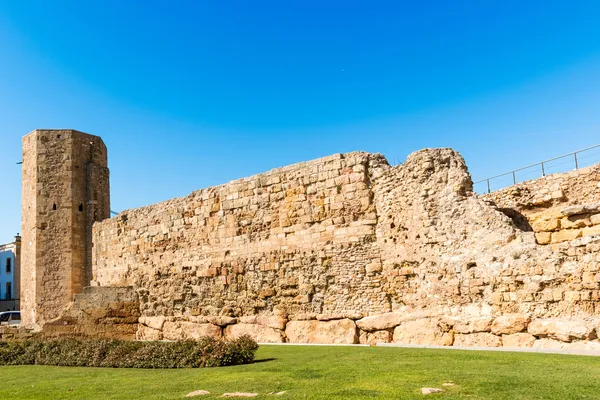 Ρωμαϊκό τσίρκο στην tarragona, Ισπανία — Φωτογραφία Αρχείου