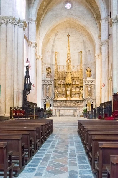 在西班牙圣玛丽塔拉戈纳大教堂 — 图库照片