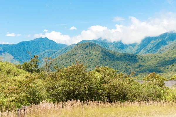 Parc national du Panama De Fortuna — Photo