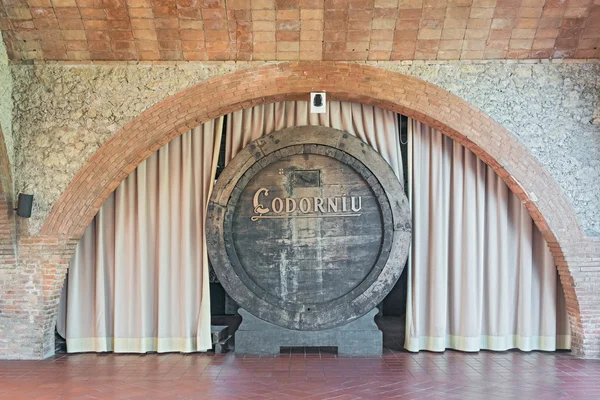 Old wine barrels in Codorniu winery in Spain — Stock Photo, Image