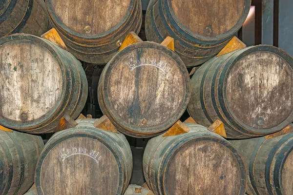 Old wine barrels in Codorniu winery in Spain — Stock Photo, Image