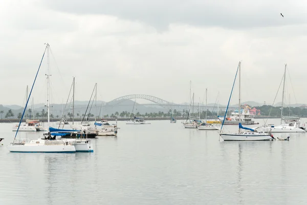 Zeilboten in panama city, panama — Stockfoto