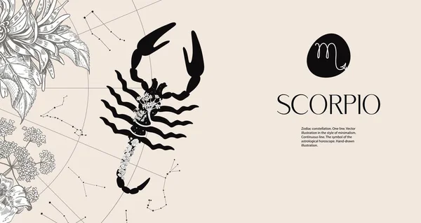 Signe du zodiaque Scorpion. Silhouette noire d'un lion aux fleurs blanches. Contexte horizontal — Image vectorielle