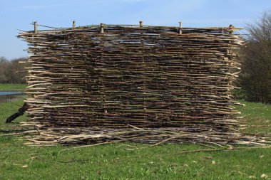 twigs çit