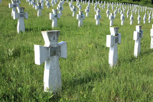 Cemetery of soldiers SS Division "Galitchina" Zolochivsky district, Lviv region, Ukraine — Stock Photo, Image