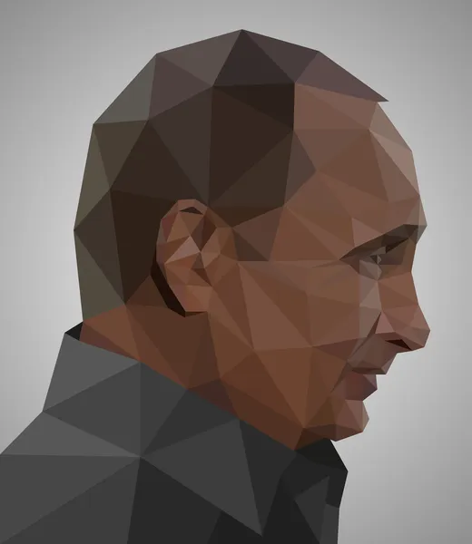 Wladimir Putin im Origami-Stil — Stockvektor