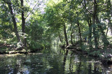 Spreewald