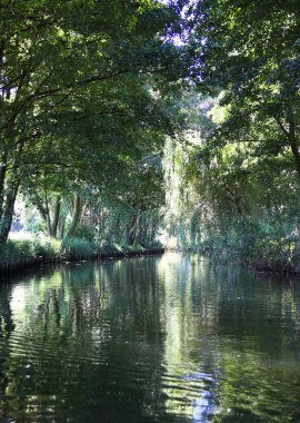 Spreewald