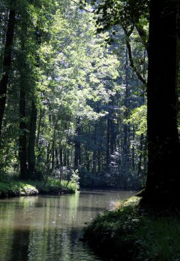 Spreewald