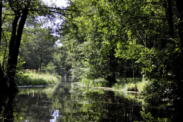 Spreewald — Stockfoto