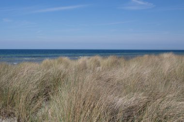 Baltık Denizi'nin güzel plaj