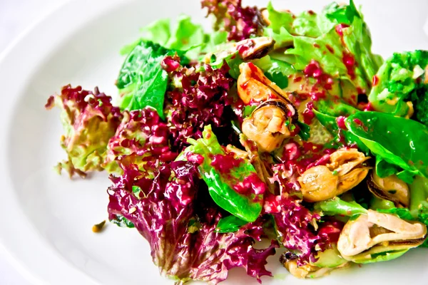 Restaurant dish,fancy salad — Stock Photo, Image