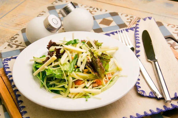 Ensalada de carne con tomates — Foto de Stock