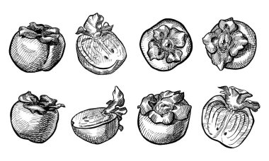 El yapımı hurma seti. Sekiz hurma. Beyaz arkaplanda izole edilmiş vektör.