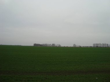 Düz kırsal çim biçme alanı tekrar yeşile dönmeye başlıyor. Tarlanın üzerinde bulutlu bir akşam gökyüzü var.