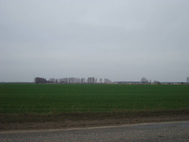 Düz kırsal çim biçme alanı tekrar yeşile dönmeye başlıyor. Tarlanın üzerinde bulutlu bir akşam gökyüzü var.