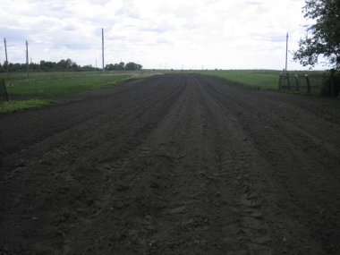 Bereketli toprak-çernozem pürüzsüz tarlaları.