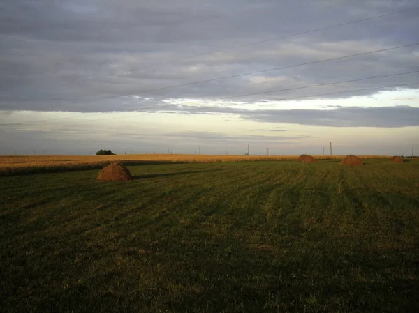 Haystacks Campo Cortado Final Dia Nos Raios Sol Poente Trigo — Fotografia de Stock